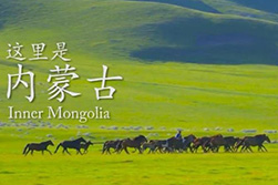 ??? ????????? ?????????? - ???? ??????